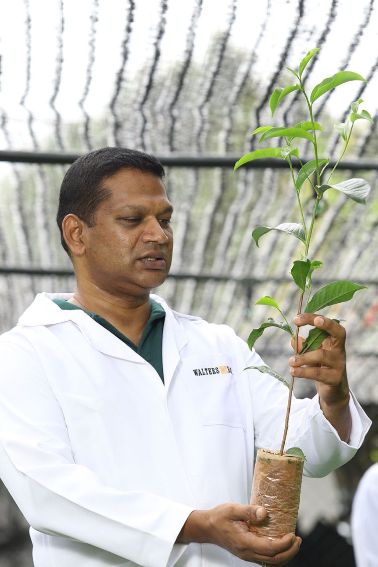 Nildalukande Tea Nursery (28)